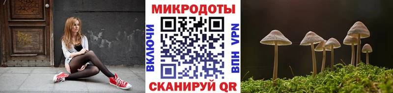 Галлюциногенные грибы Psilocybine cubensis  где купить наркоту  Макушино 